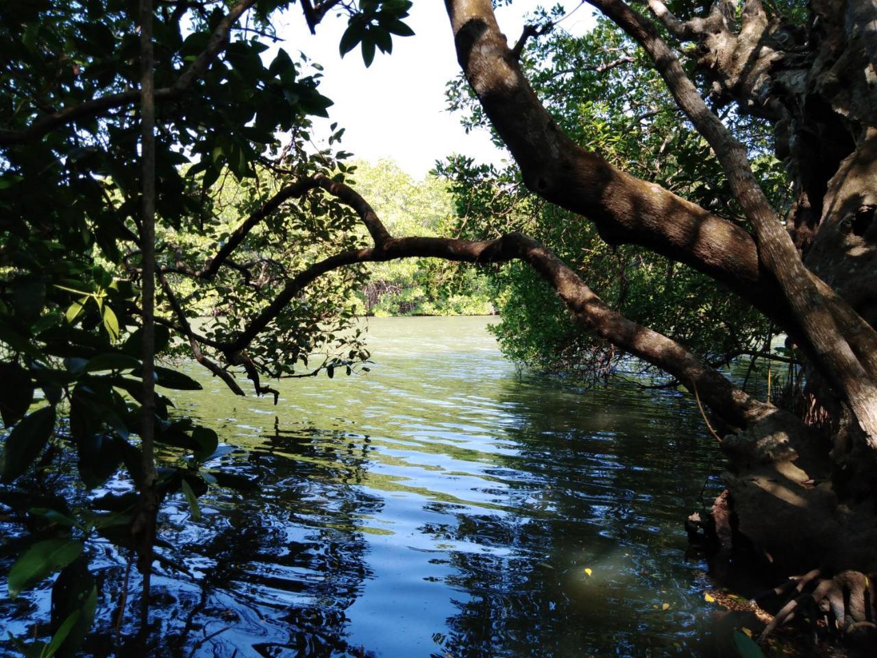 Villa De Lagoon View Tangalle Eksteriør billede